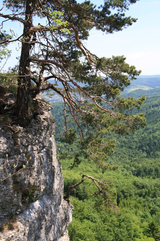 Wanderung nähe Burg Hohenzollern