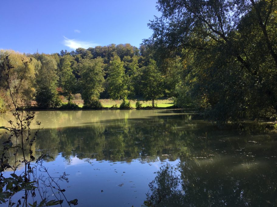 Fischweiher Eyachtal