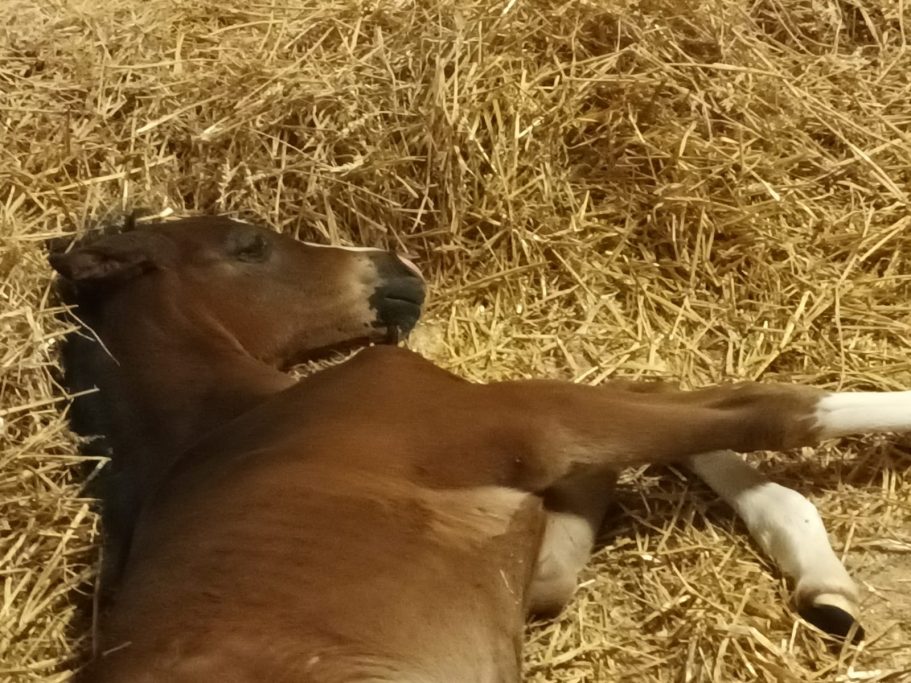 ein Platz zum Ausspannen...