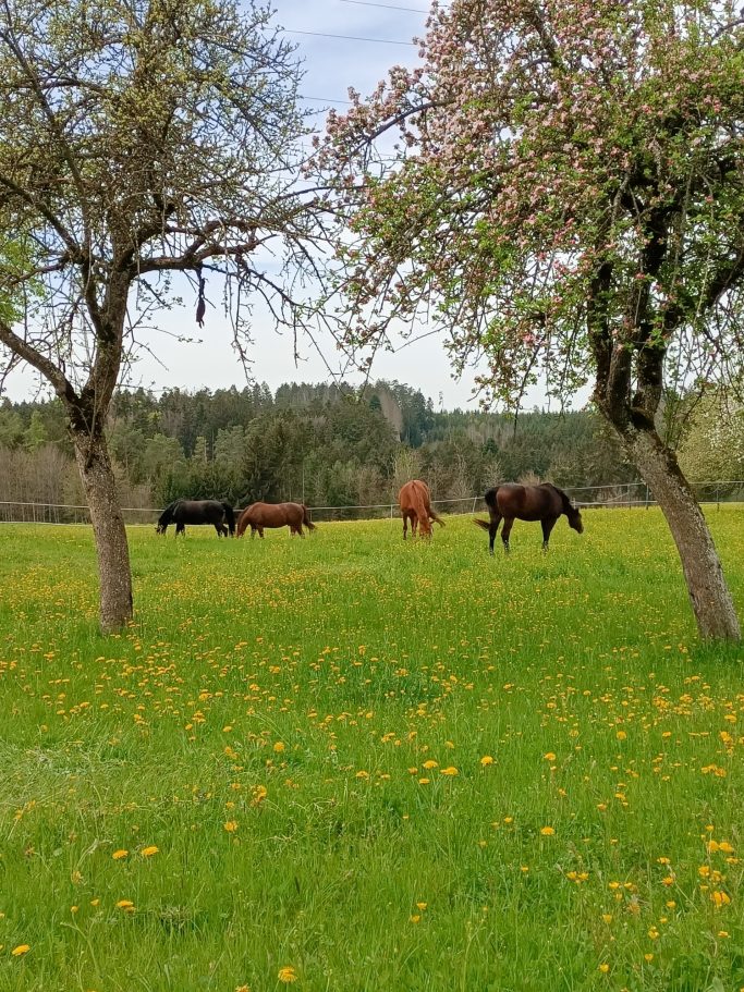 alles zum Wohlfühlen
